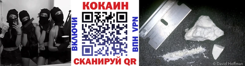 КОКАИН Fish Scale  купить  цена  МЕГА как зайти  Сортавала 