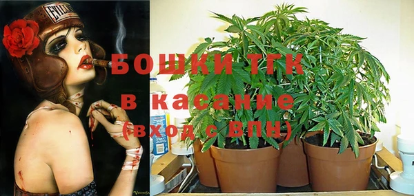 винт Алексин