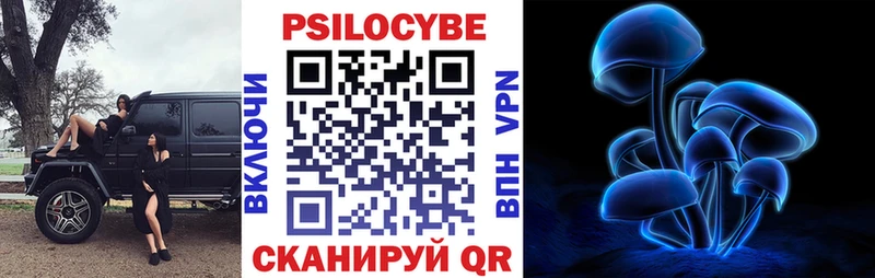 Псилоцибиновые грибы Psilocybe  купить наркотики сайты  Сортавала 